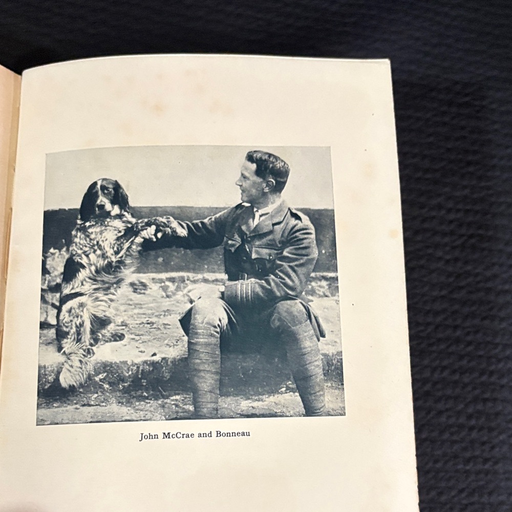 In Flanders fields first edition - Picture 11 of 13